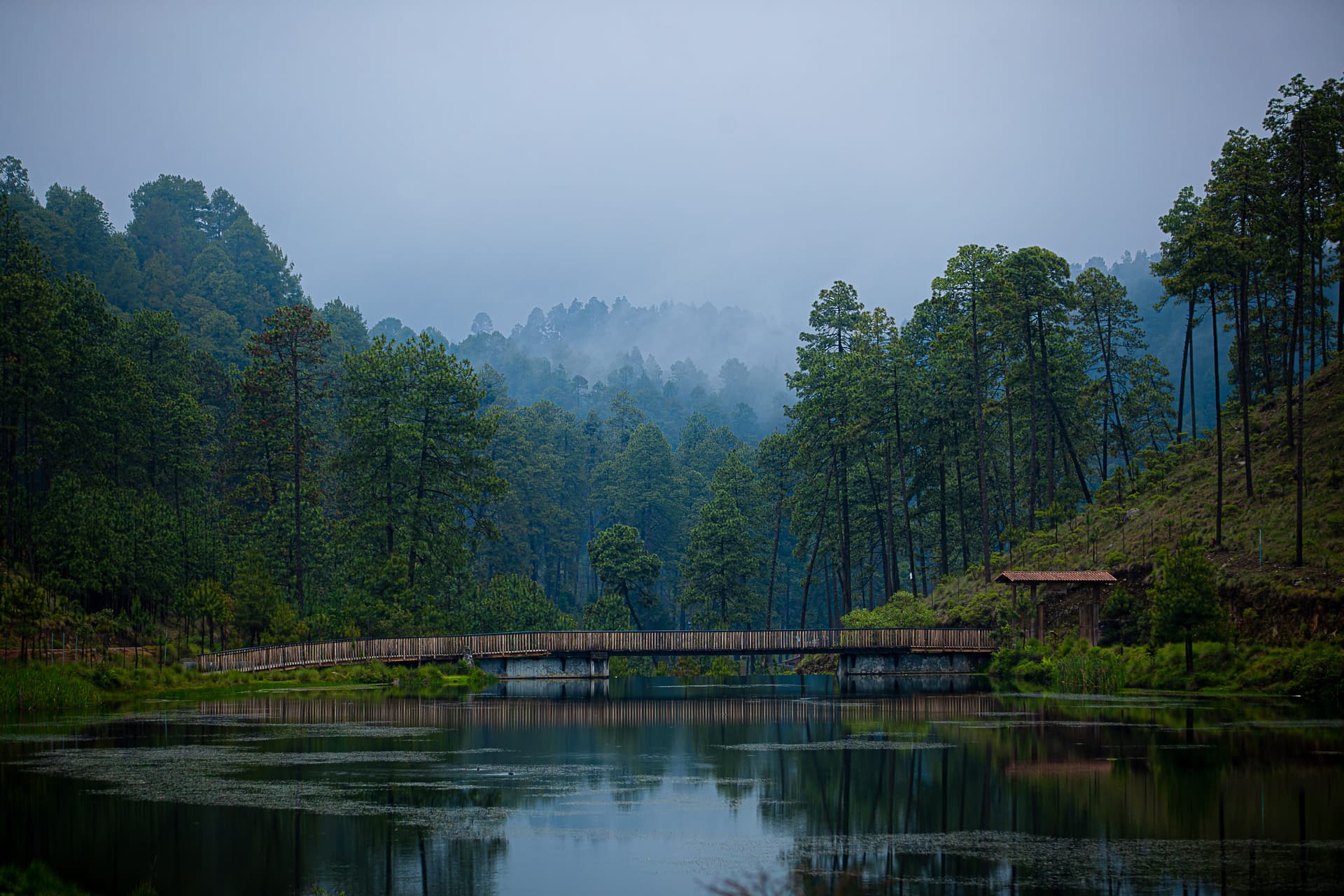 Amanalco de Becerra, Estado de México: Pueblo mágico con lagos y bosques vírgenes